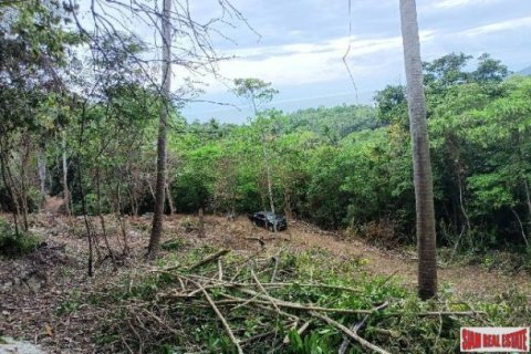 8000m² Land in Ko Samui, Thailand No. 98097 2