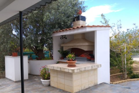 Вилла с 3 спальнями в Лимассол, Кипр №105833 6