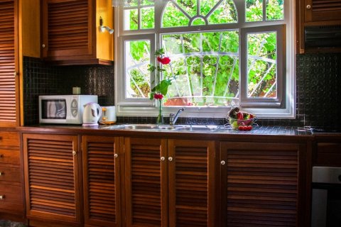 Вилла с 4 спальнями в Керкира, Греция №58747 2