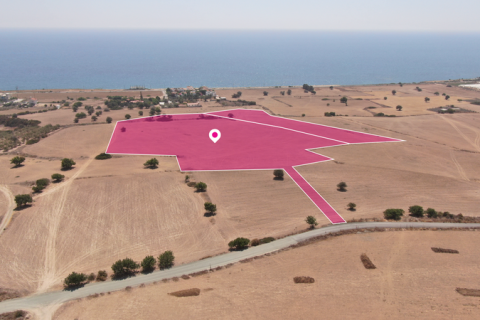 Commercial property en Agios Theodoros, Cyprus No. 36324 2
