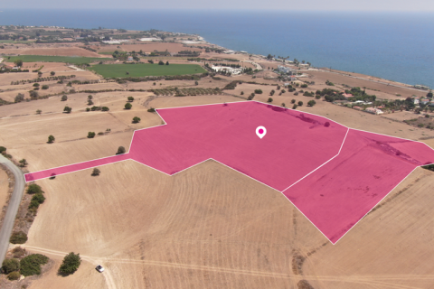 Commercial property en Agios Theodoros, Cyprus No. 36324 3