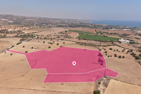 Commercial property en Agios Theodoros, Cyprus No. 36324 4