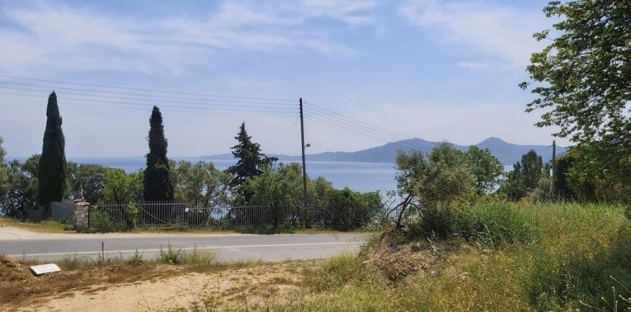 6000m² Land à Corfu, Greece No. 56012