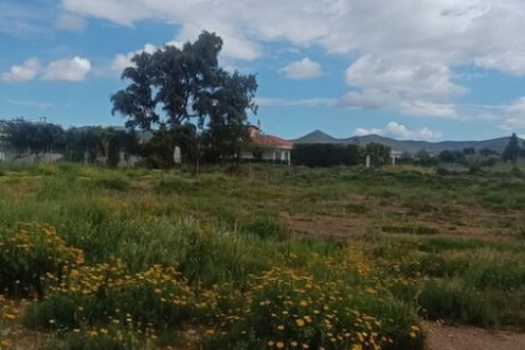 768m² Land in Anavyssos, Greece No. 108010 4