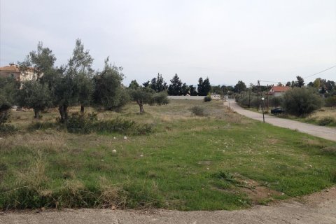 7069m² Land à Agioi Theodoroi, Greece No. 60291 1