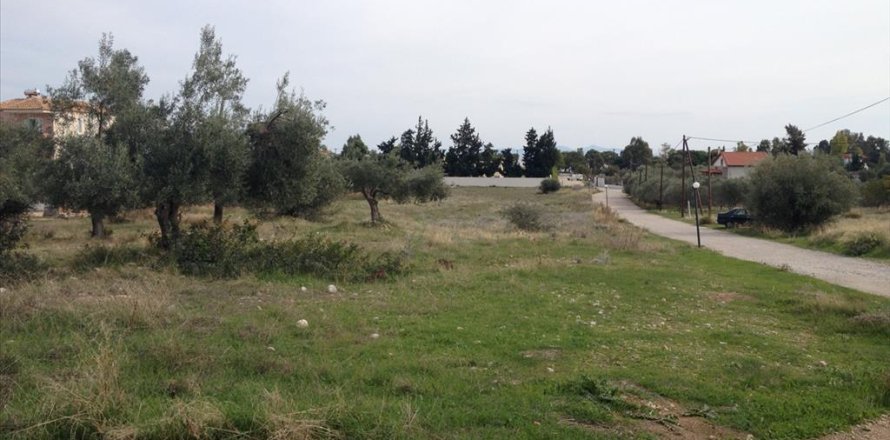 7069m² Land à Agioi Theodoroi, Greece No. 60291