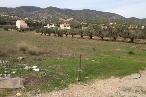7069m² Land à Agioi Theodoroi, Greece No. 60291 3
