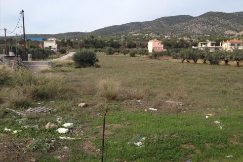 7069m² Land à Agioi Theodoroi, Greece No. 60291 2