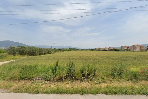 22185m² Land in Thermi, Greece No. 109344 2
