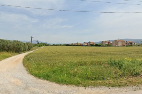 22185m² Land in Thermi, Greece No. 109344 4