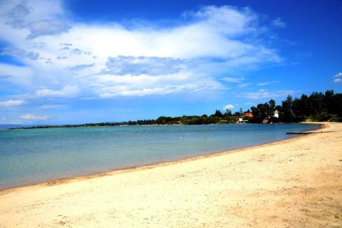 6300m² Land in Chalkidiki, Greece No. 58886 3