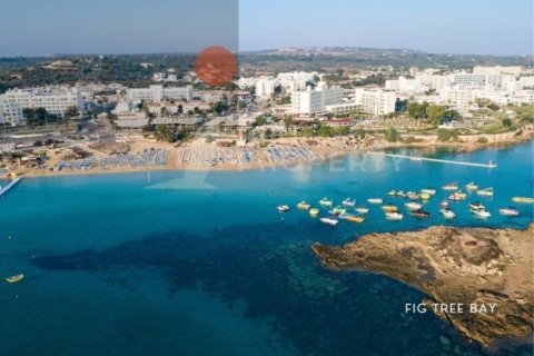 5 bedrooms Villa in Protaras, Cyprus No. 36525 8