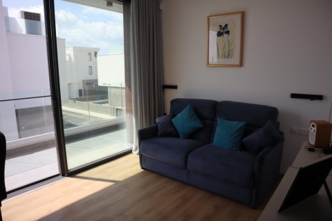 3 chambres Villa à Paphos, Cyprus No. 99822 11