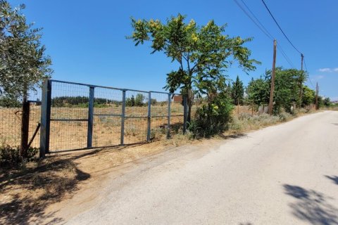 4748m² Land in Panorama, Greece No. 107488 11