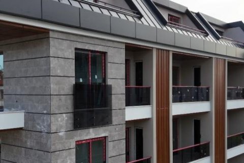 3 rooms Apartment in Chau Lang, Vietnam No. 22028 5