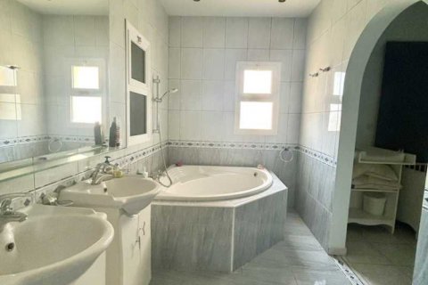 Дом с 4 спальнями в Тала, Кипр №101071 12
