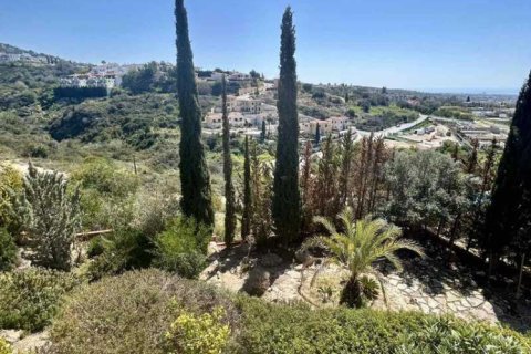 Дом с 4 спальнями в Тала, Кипр №101071 3