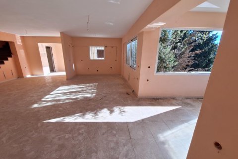 396m² Villa à Corfu, Greece No. 122297 24