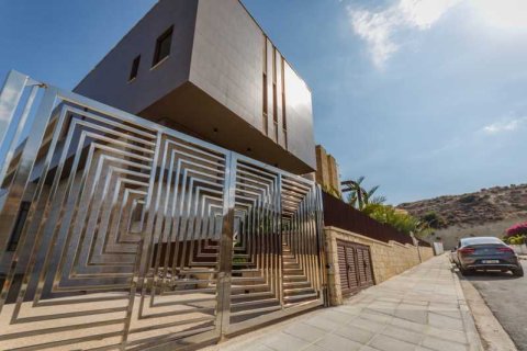 6 chambres House à Agios Athanasios, Cyprus No. 66127 9