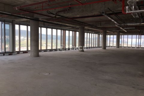 Studio Townhouse in Chau Doc, Vietnam No. 24977 28