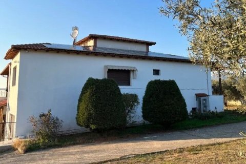 350m² House in Polygyros, Greece No. 107468 21