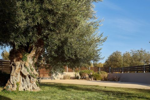 2 bedrooms Villa in Hersonissos, Greece No. 116823 5