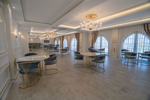 1 chambre Appartement à Chau Lang, Vietnam No. 20578 1