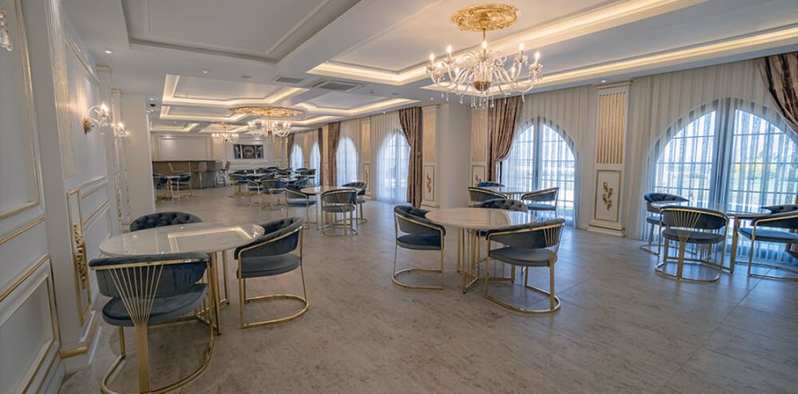 1 chambre Appartement à Chau Lang, Vietnam No. 20578