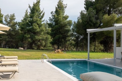 210m² Hotel in Chalkidiki, Greece No. 109173 18