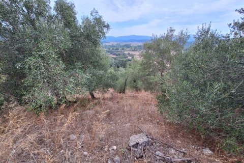 13000m² Land in Corfu, Greece No. 109302 2
