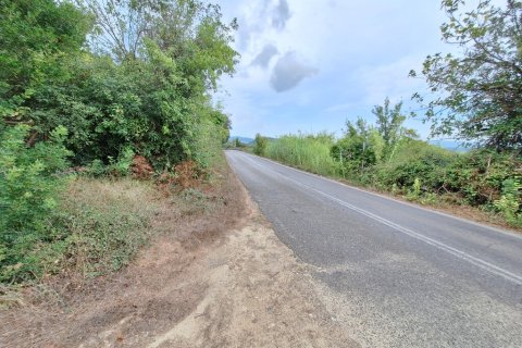 13000m² Land in Corfu, Greece No. 109302 8