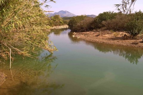 826m² Land in Rethymno, Greece No. 113644 2