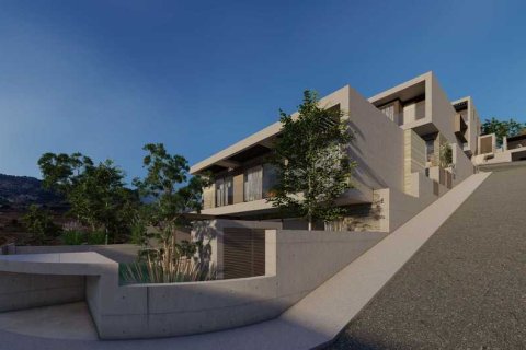 3 chambres Villa à Geroskípou, Cyprus No. 29383 7