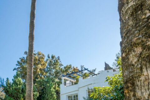 Офис с 3 спальнями в Thuan Nam, Вьетнам №27389 22