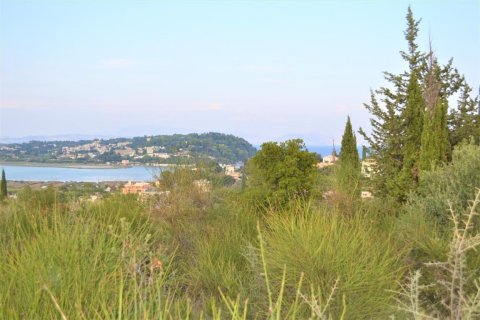 5800m² Land à Corfu, Greece No. 56466 5