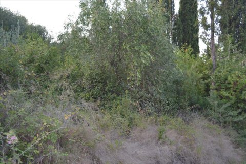 5800m² Land à Corfu, Greece No. 56466 6