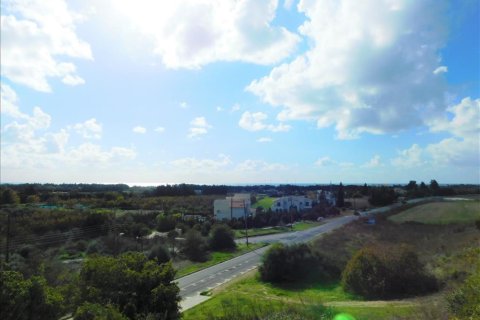 Apartamento tipo estudio Estudio en Paphos, Cyprus No. 106239 11