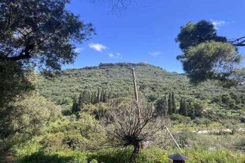 7 bedrooms Maisonette in Zakynthos, Greece No. 104866 25