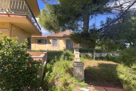 7 bedrooms Maisonette in Zakynthos, Greece No. 104866 24