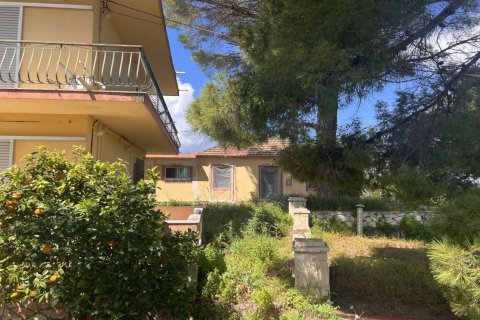 7 bedrooms Maisonette in Zakynthos, Greece No. 104866 21