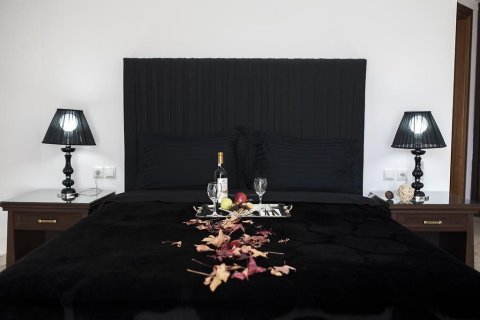 Отель, гостиница 4500м² в Флорина, Греция №107918 15