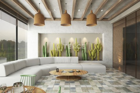 2 chambres Penthouse à Chau Lang, Vietnam No. 42356 12