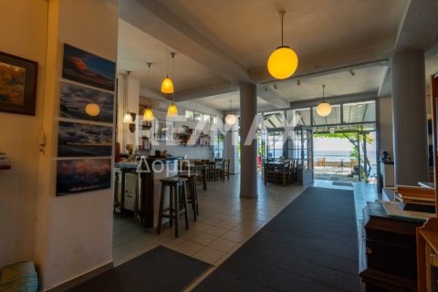 Отель, гостиница 1016м² в Муреси, Греция №24290 3