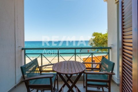 Отель, гостиница 1016м² в Муреси, Греция №24290 2