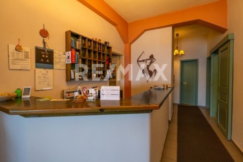 Отель, гостиница 1016м² в Муреси, Греция №24290 13