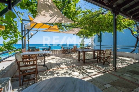 Отель, гостиница 1016м² в Муреси, Греция №24290 1