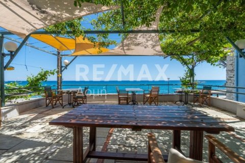 Отель, гостиница 1016м² в Муреси, Греция №24290 25