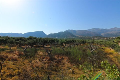 5500m² Land in Lasithi, Greece No. 59501 2