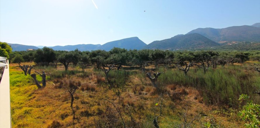 5500m² Land in Lasithi, Greece No. 59501