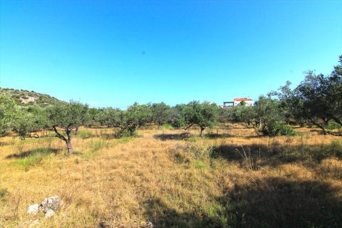5500m² Land in Lasithi, Greece No. 59501 4